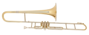 Anteprima