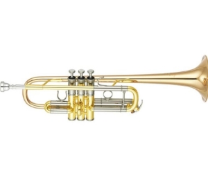 Anteprima