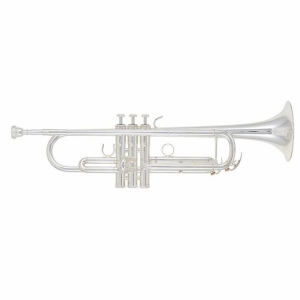Anteprima