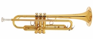 Anteprima