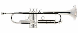 Anteprima