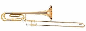 Anteprima
