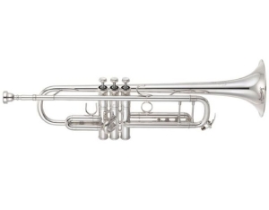 Anteprima