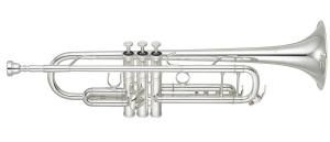 Anteprima