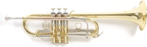 Anteprima
