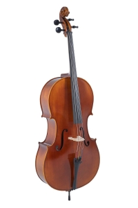 Anteprima