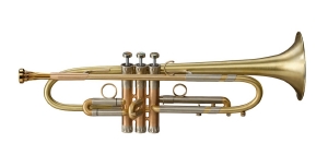 Anteprima