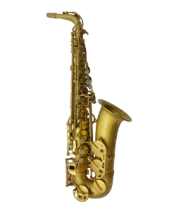 Anteprima