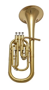 Anteprima