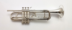 Anteprima