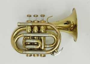 Anteprima