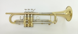 Anteprima