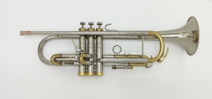 Anteprima