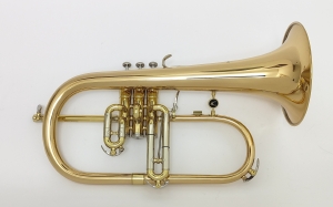 Anteprima