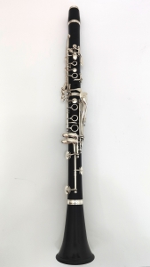 Anteprima