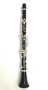 Anteprima