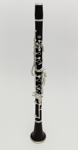Anteprima