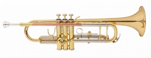 Anteprima