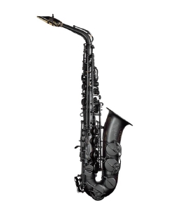 Anteprima