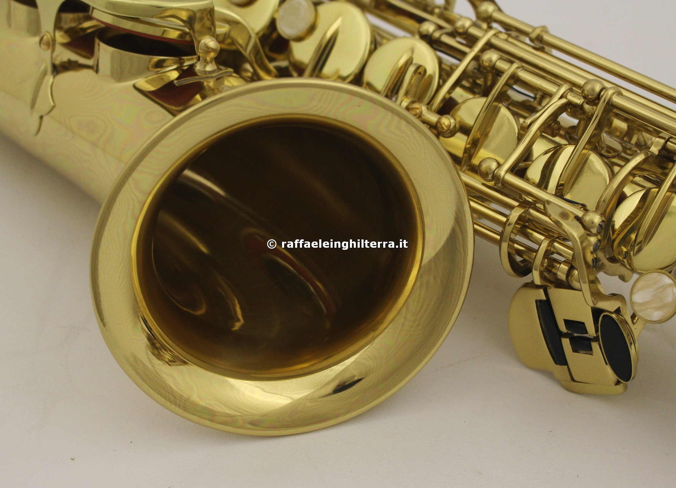 Roy Benson Eb-Alto Saxophone MOD.AS-202 lacquered finish, incl. Case,  Golden (RBAS202)